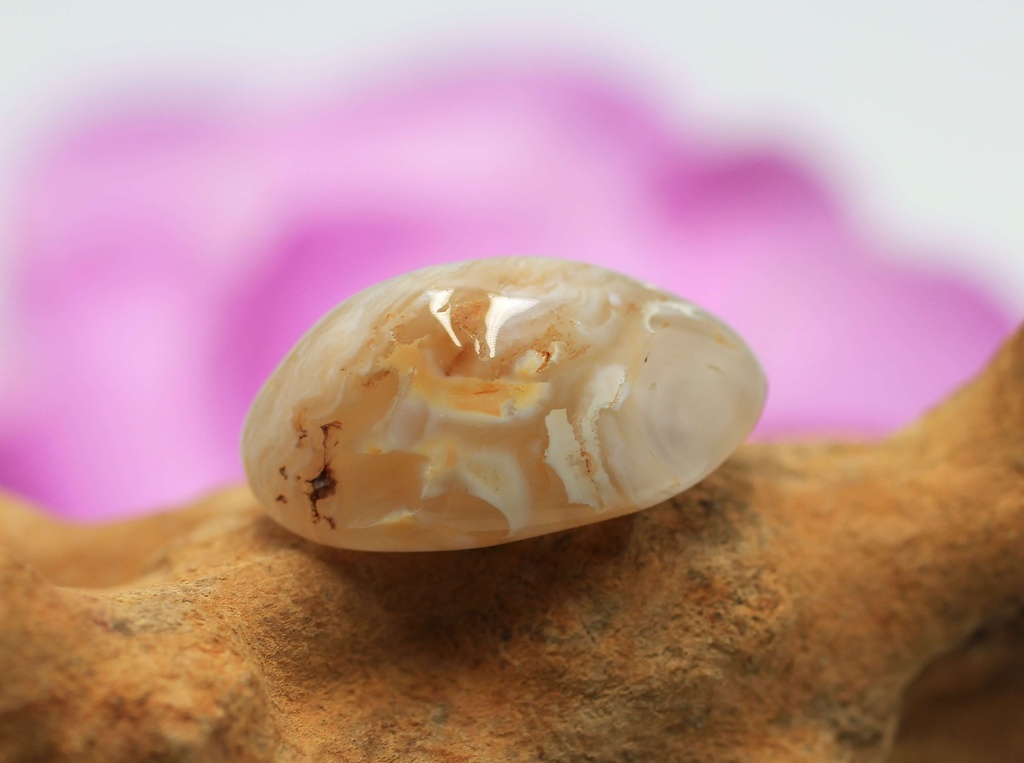 Agate plume roulée