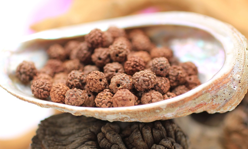 Perle 8mm en Rudraksha