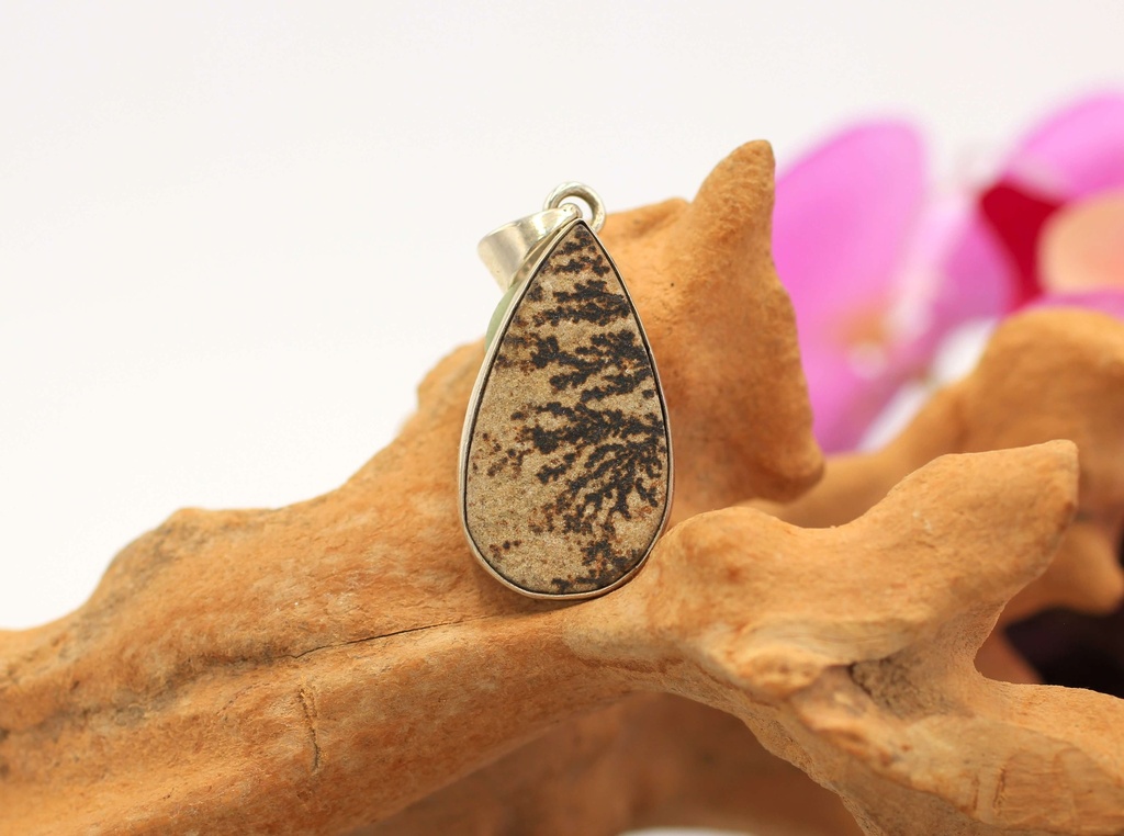 Pendentif en Argent 925 et Jaspe plante fossile