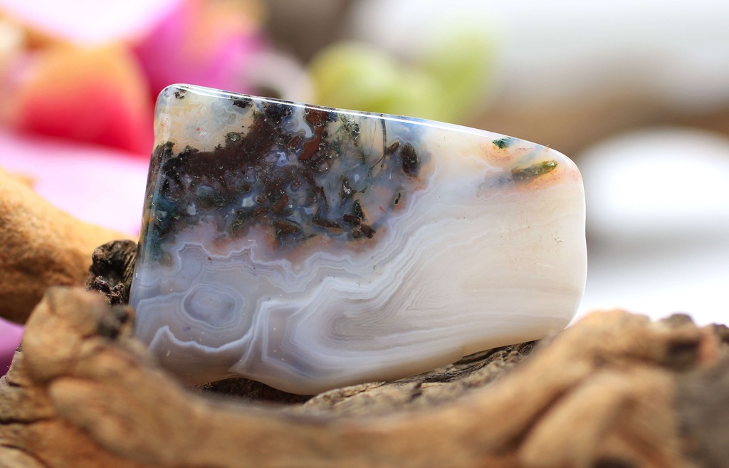 Tranche en Agate Arbre et Agate du Botswana