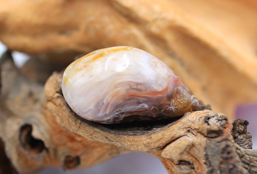 Agate plume roulée