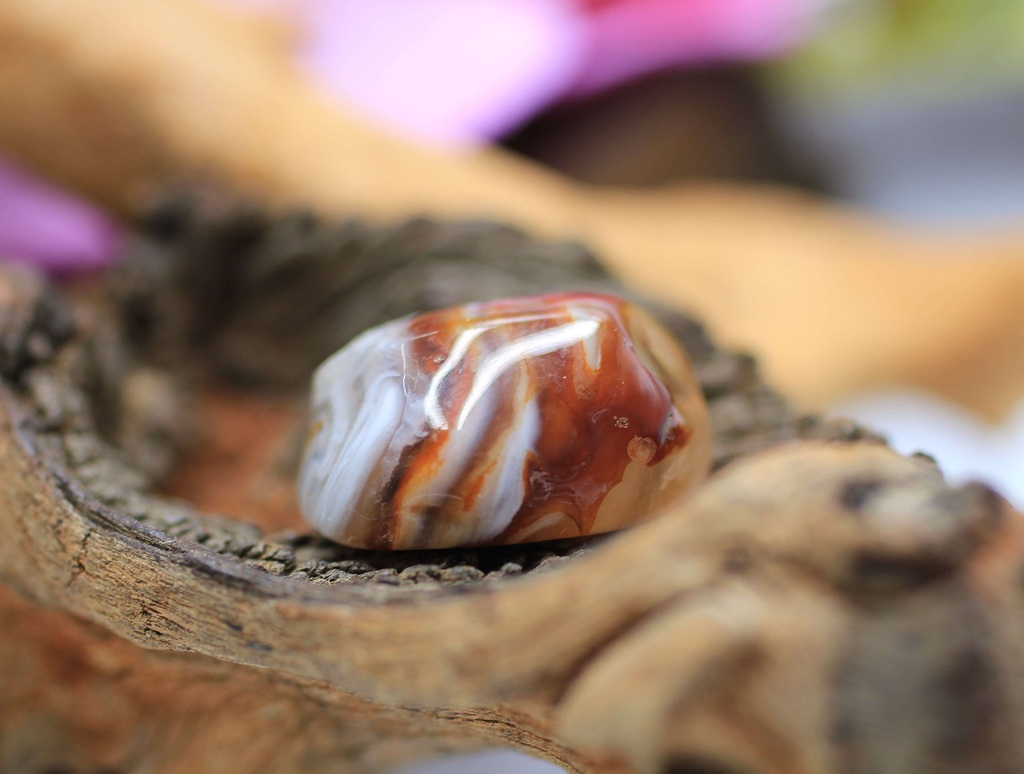 Agate plume roulée