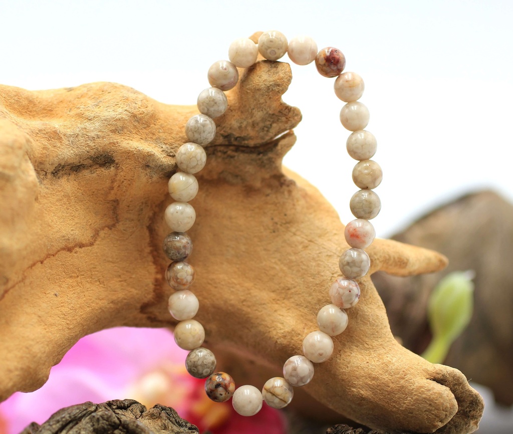 Bracelet en perles 6mm en Corail fossile