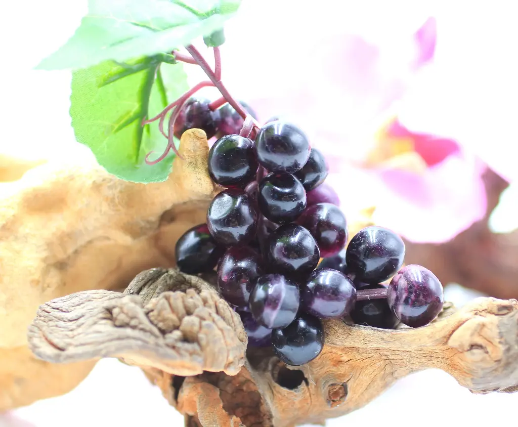 Grappe de raisin en Fluorite violette