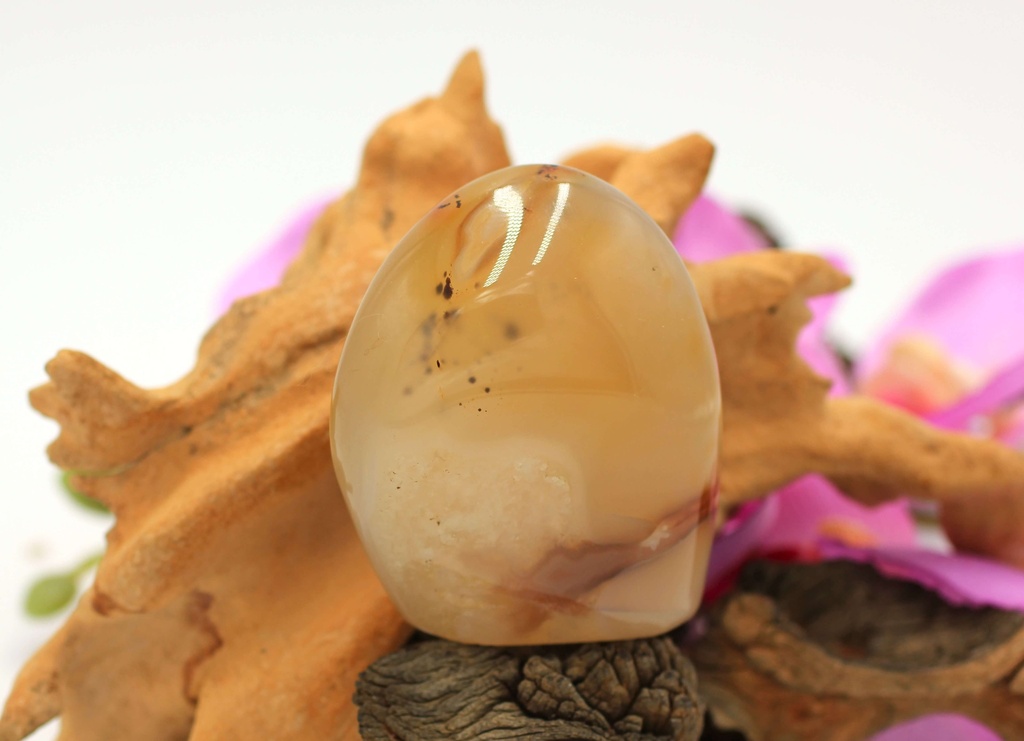 Rocher en Agate dendritique