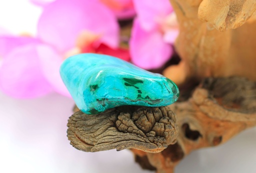 Chrysocolle-Malachite roulée