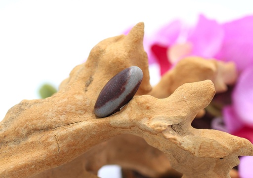 Shiva lingam roulé