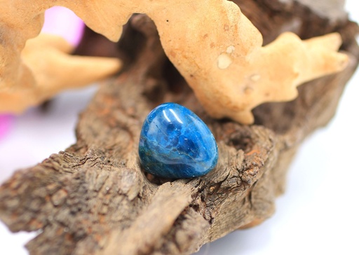 Apatite bleue roulée