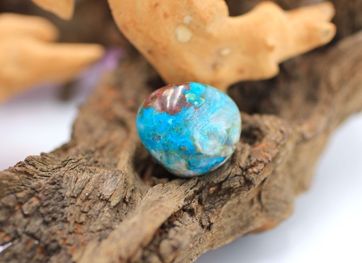 Chrysocolle roulée