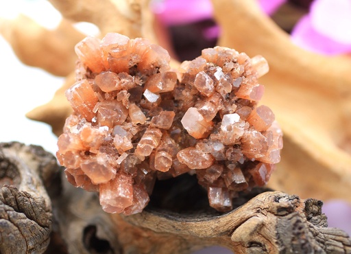 Aragonite hérisson brute