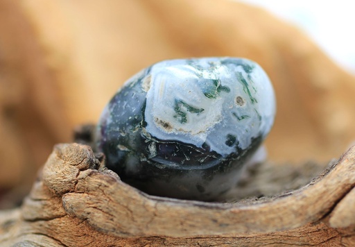 Agate arbre roulée