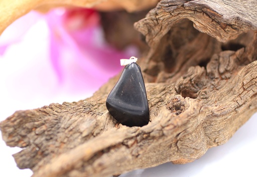 Pendentif en Shungite