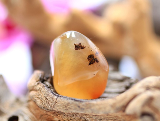 Agate dendritique roulée