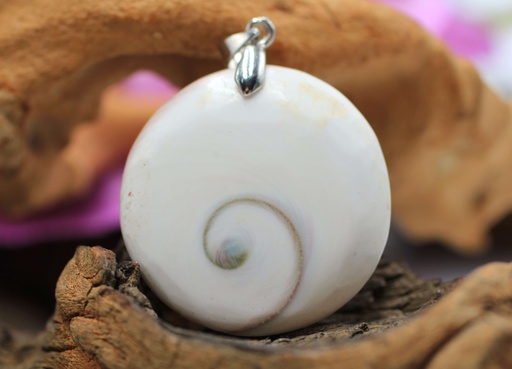 Pendentif rond en Œil de Sainte Lucie (Gomati chakra)