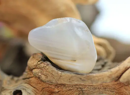 Agate du Botswana roulée