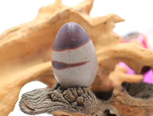 Œuf en Shiva lingam