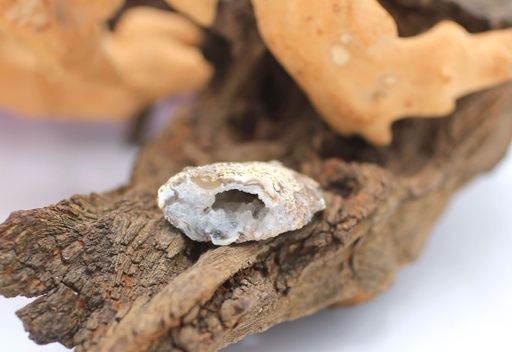 Géode en Agate plume