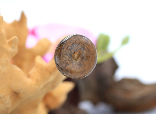 Pendentif donut en Bronzite