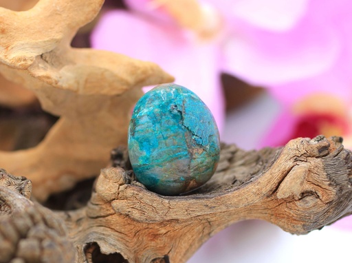 Chrysocolle-Shattuckite roulée