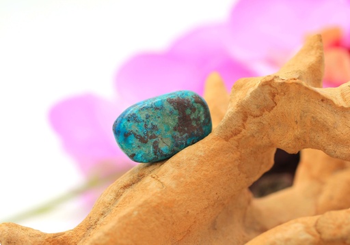 Chrysocolle-Shattuckite roulée