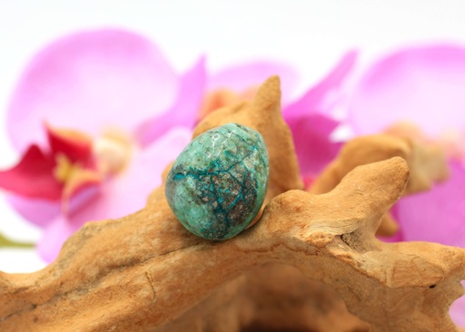 Chrysocolle-Shattuckite roulée