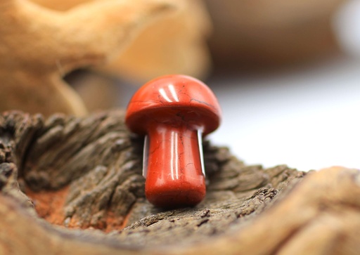 Champignon en Jaspe rouge