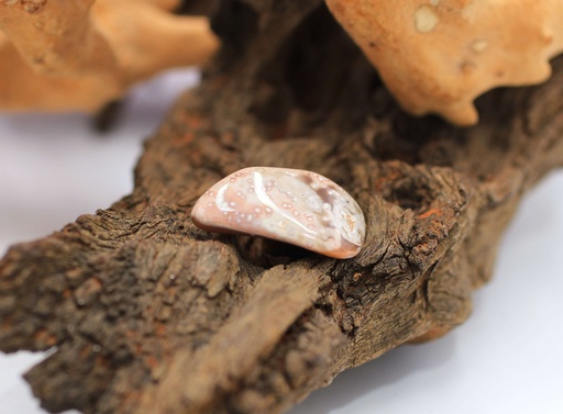 Agate rose du Botswana roulée